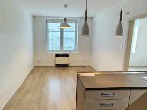 Pronájem bytu 2+kk, Plzeň, Koterovská, 44 m2