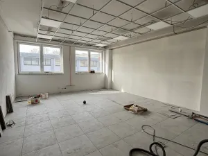 Pronájem skladu, Ostrava - Vítkovice, 1600 m2