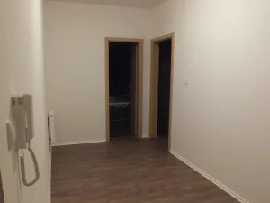 Prodej bytu 1+kk, Vyškov - Vyškov-Předměstí, Smetanovo nábřeží, 51 m2