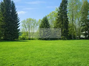 Prodej zahrady, Nová Paka, 1635 m2