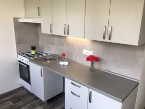 Pronájem bytu 2+1, Ostrava - Hrabůvka, Josefa Kotase, 50 m2