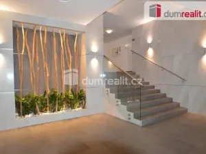 Pronájem bytu 1+kk, Praha - Žižkov, Olšanská, 37 m2