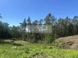 Prodej lesa, Nebužely, 27933 m2
