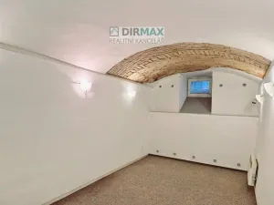 Pronájem skladu, Plzeň, Havlíčkova, 54 m2