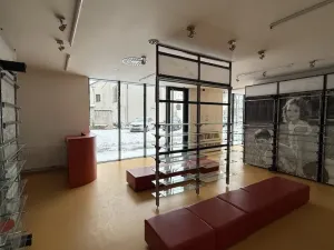 Prodej obchodního prostoru, Ostrava - Moravská Ostrava, Biskupská, 89 m2