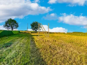 Prodej pozemku pro bydlení, Puclice, 3058 m2