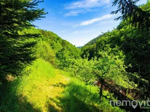 Prodej rodinného domu, Štěchovice, Zadní konce, 50 m2