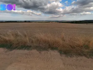 Prodej pole, Prostějov, 29929 m2