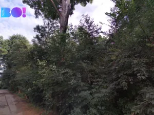 Prodej pole, Prostějov, 29929 m2