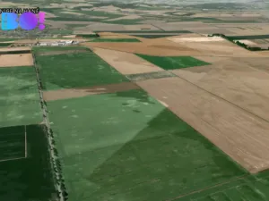 Prodej pole, Senice na Hané, 7577 m2