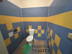 Pronájem bytu 3+1, Neratovice, Janáčkova, 105 m2