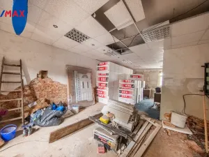 Prodej vícegeneračního domu, Chodov, Nejdecká, 426 m2