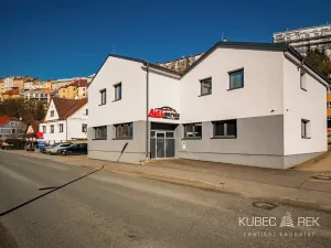Pronájem bytu 3+kk, Tábor, Lužnická, 70 m2