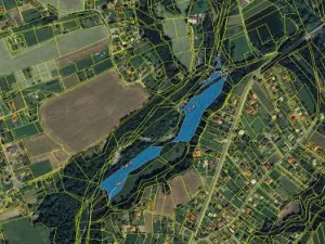 Prodej podílu lesa, Bystřice, 6434 m2