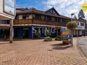 Pronájem obchodního prostoru, Český Těšín, Smetanova, 110 m2
