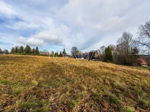 Prodej pozemku pro bydlení, Orlické Záhoří, 4018 m2