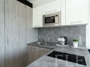 Pronájem bytu 1+kk, Praha - Žižkov, Olgy Havlové, 27 m2