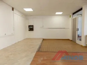 Pronájem obchodního prostoru, Slaný, Vikova, 101 m2