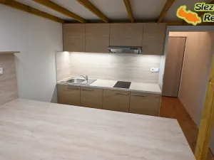 Pronájem bytu 1+kk, Ostrava, Palackého, 26 m2