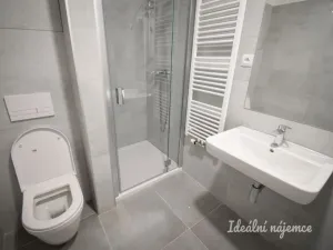 Pronájem bytu 1+kk, Brno - Ponava, Reissigova, 42 m2