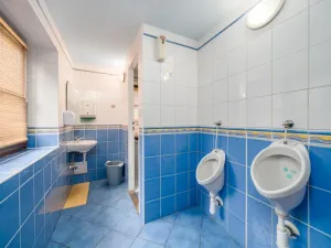 Prodej rodinného domu, Nový Bor - Janov, 200 m2