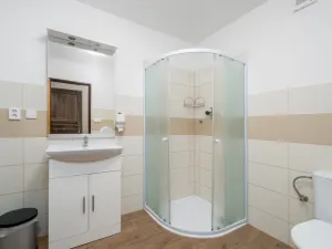 Prodej rodinného domu, Nový Bor - Janov, 280 m2