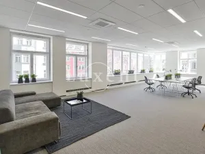 Pronájem kanceláře, Praha, Revoluční, 300 m2
