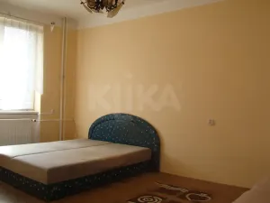 Pronájem bytu 1+1, Nové Mitrovice, 37 m2