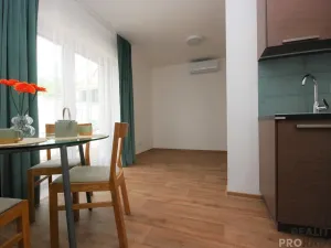 Pronájem bytu 1+kk, Velké Pavlovice, 33 m2