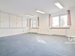 Pronájem obchodního prostoru, Moravany, Modřická, 167 m2