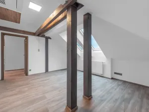 Pronájem bytu 6+kk a větší, Dolní Břežany, U Zámku, 237 m2