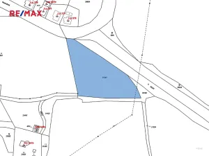 Prodej pozemku pro bydlení, Planá, 3965 m2