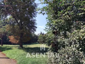 Prodej pozemku, Ostrava - Radvanice, Na Hrázkách, 12371 m2