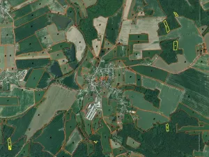 Prodej lesa, Lipí - Kaliště u Lipí, 23659 m2