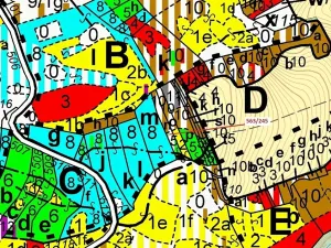 Dražba lesa, Spešov, 1009 m2