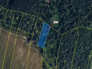 Dražba lesa, Přemyslovice, 1280 m2