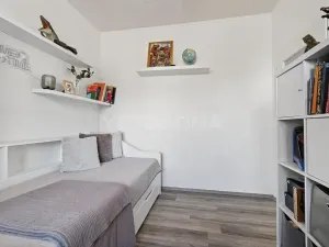 Prodej bytu 3+1, Plzeň, V Mokřinách, 77 m2