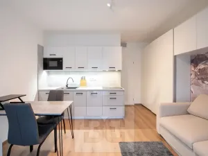 Pronájem bytu 1+kk, Tuchoměřice, V Kněžívce, 22 m2