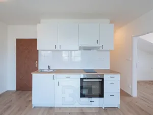 Pronájem bytu 3+kk, Praha - Hodkovičky, Havlovického, 35 m2