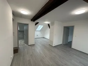 Pronájem bytu 3+kk, Úsobí, 73 m2