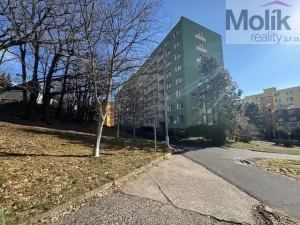 Prodej bytu 3+1, Jirkov, Pionýrů, 58 m2