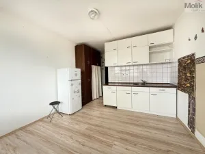 Pronájem bytu 1+kk, Most, U Věžových domů, 22 m2