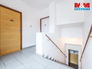 Pronájem bytu 1+kk, Plzeň - Východní Předměstí, Barrandova, 43 m2