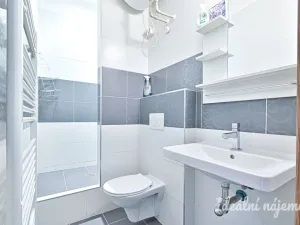 Pronájem bytu 1+kk, Brno, Stará, 32 m2