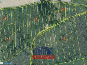 Prodej lesa, Letiny - Svárkov, 12818 m2