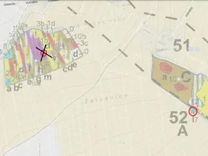 Prodej lesa, Letiny - Svárkov, 10142 m2