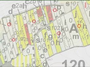 Prodej lesa, Letiny - Svárkov, 10142 m2