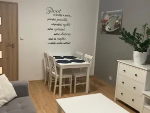 Pronájem bytu 2+kk, Most, Pod Šibeníkem, 48 m2