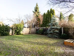 Pronájem bytu 3+kk, Praha - Žižkov, Jeseniova, 75 m2