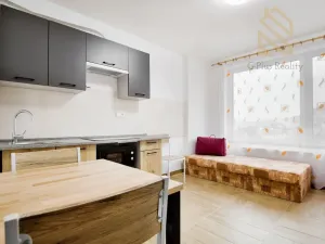 Pronájem bytu 1+kk, Ústí nad Labem - Ústí nad Labem-centrum, Čajkovského, 15 m2